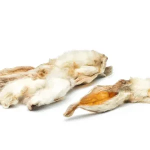 konijnenoren met vacht scaled